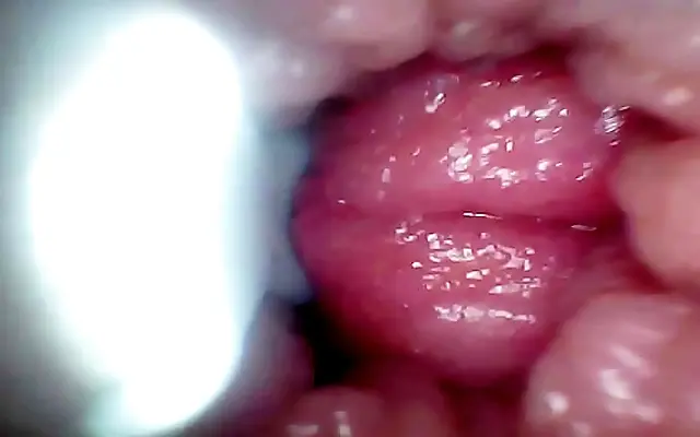 Intimate endoscope journey through my wife's swollen G spot in oily ASMR detail